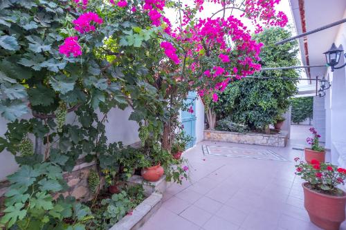 alikes alykes to konaki Zakynthos