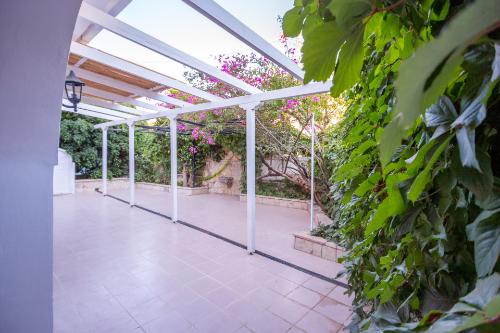 alikes alykes to konaki Zakynthos